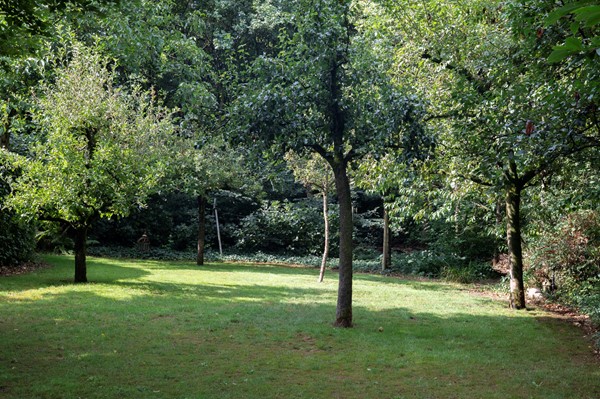 Medium property photo - Bosschenhoofdsestraat 6A, 4744 RP Bosschenhoofd